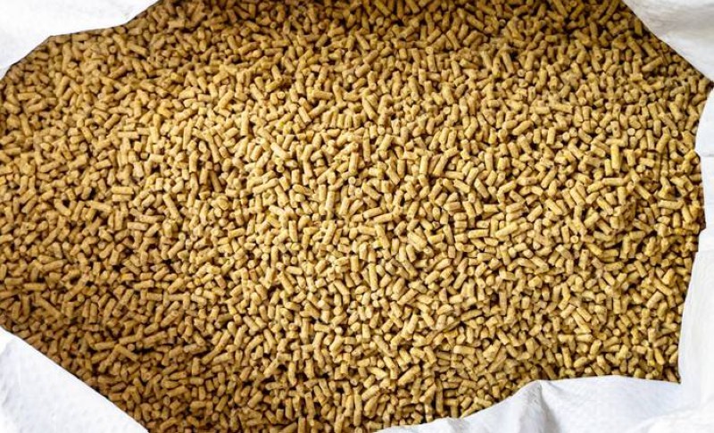 Un individu condamné par le tribunal de Grand-Bassam pour avoir volé des aliments pour volailles.