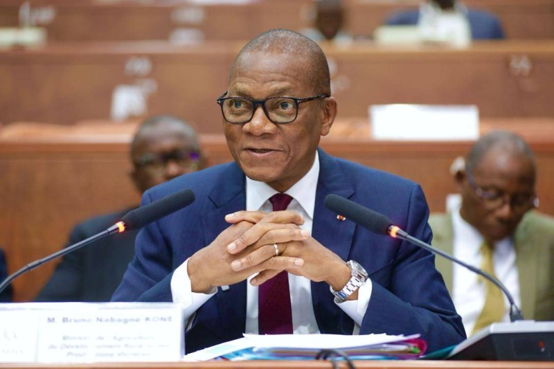 Bruno Koné a insisté sur le fait que le coco ne devait plus être perçu uniquement comme un produit de consommation directe. (Ph: Dr)