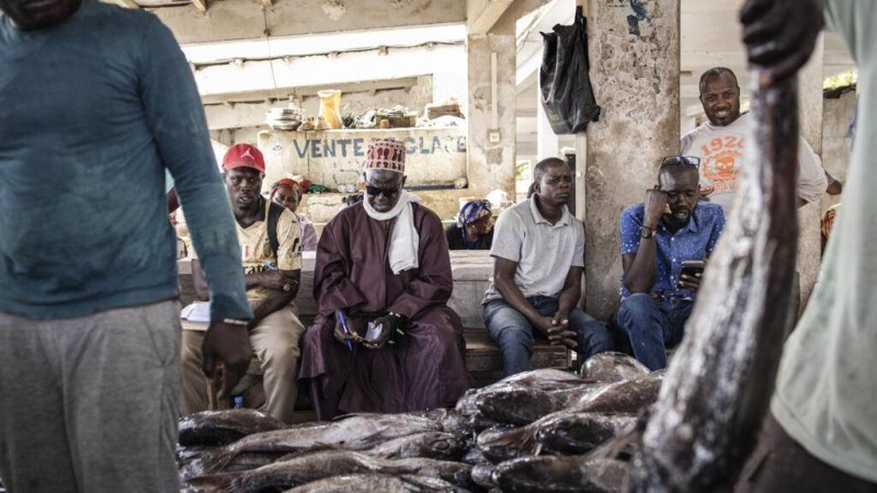 Des pêcheurs sénégalais en novembre 2023. AFP - JOHN WESSELS