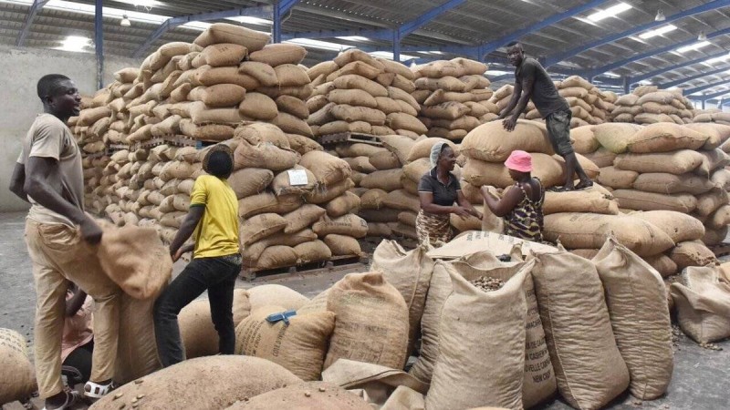 Des travailleurs déchargent des sacs de noix de cajou dans un entrepôt le 12 mai 2016 à Abidjan. Image d'illustration. AFP - ISSOUF SANOGO