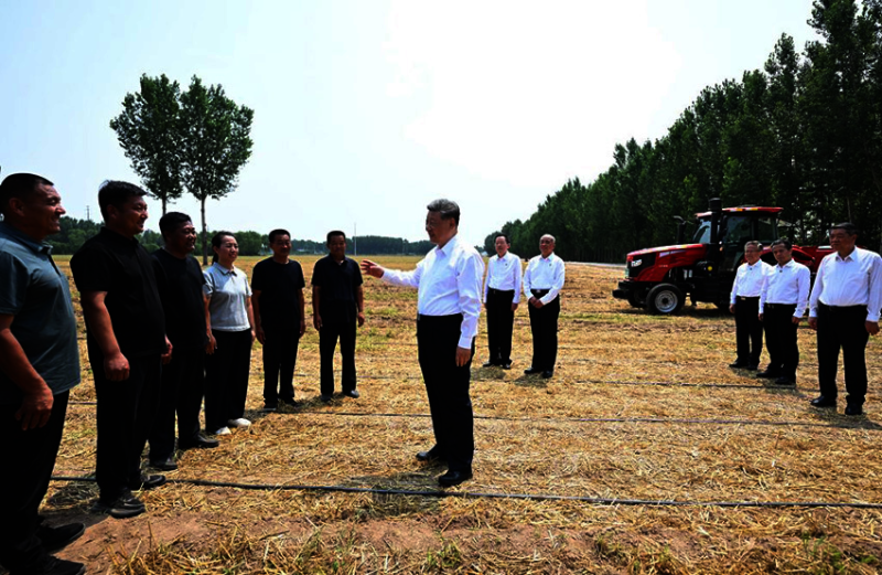 Xi Jinping_Champ