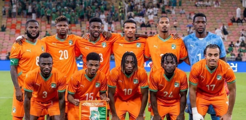 Les Eléphants de Côte d'Ivoire 