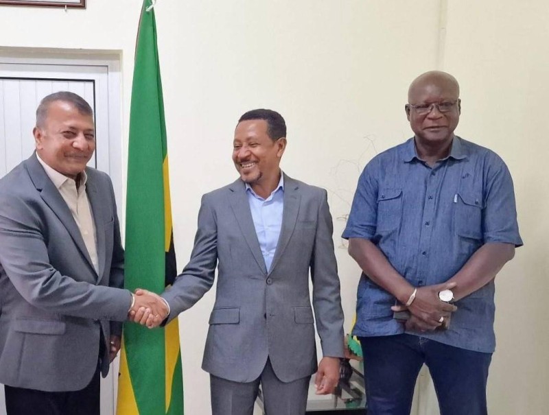 Réunion de travail entre S.E. Monsieur Nelson Cardoso, Ministre des Infrastructures et des Ressources naturelles de São Tomé-et-Príncipe, et la délégation de TECMON Energy.