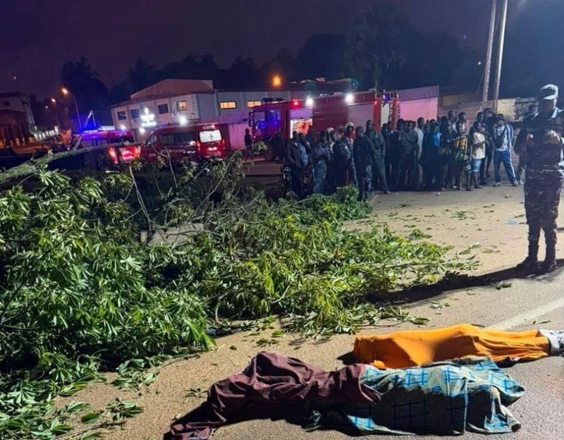 La chute d'un grand fromager au quartier Nimbo Fromager, à Bouaké, a coûté la vie à trois personnes et fait trois blessés graves, selon le bilan du GSPM.