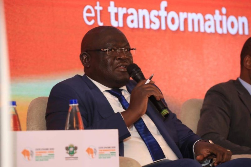 Agriculture : Bernard Kini Comoé invite les investisseurs à saisir les opportunités offertes par les productions vivrières
