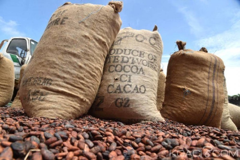 L'interprofession Café-Cacao avait fait état d'un stock résiduel avoisinant 60 000 tonnes