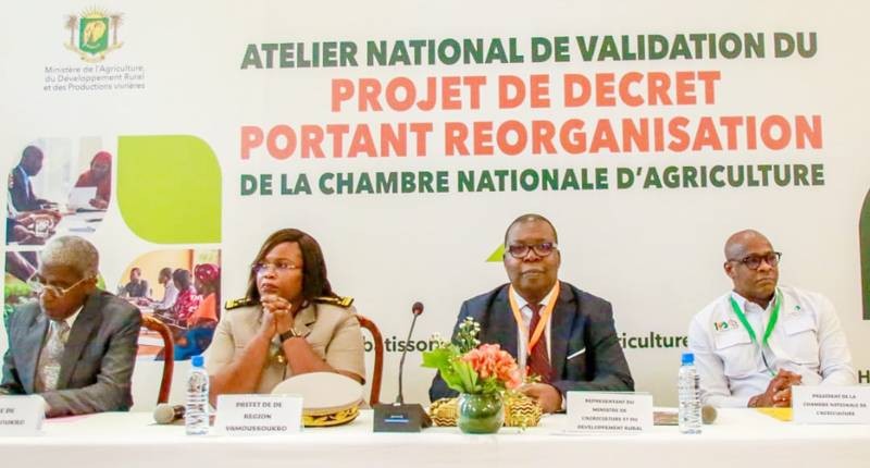 Rodrigue N’Guessan Koffi a rappelé que la Chambre nationale d’agriculture doit être l’interlocuteur privilégié de l’État et des producteurs.